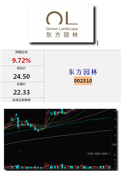 黄金基金基金.jpg